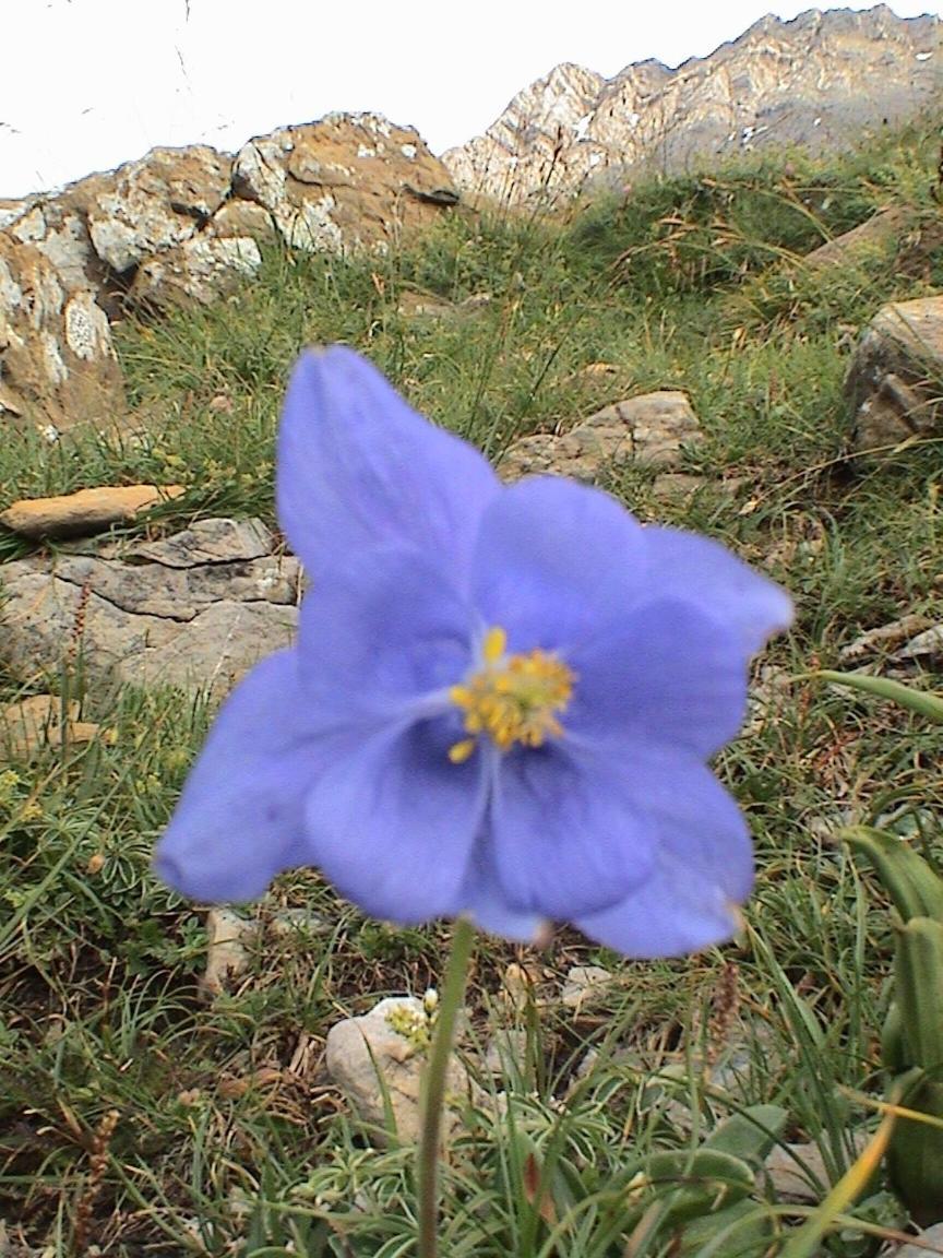 Pinarillos Sarvisé Exteriér fotografie